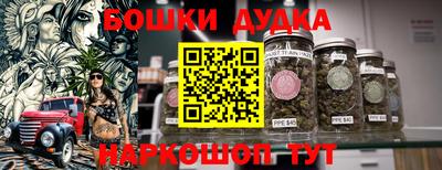 ECSTASY Камышлов