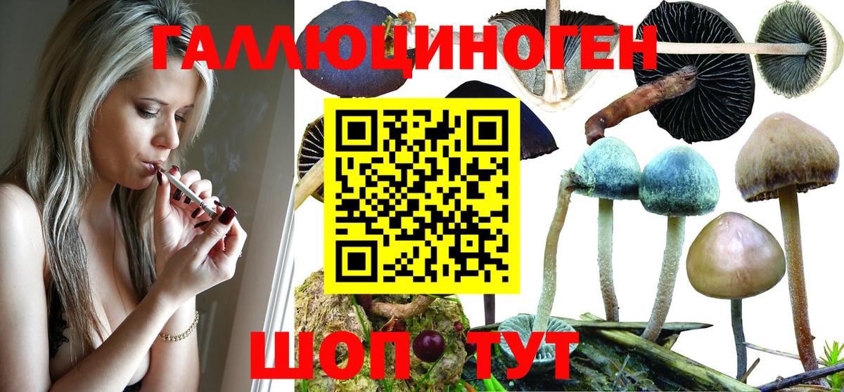 Псилоцибиновые грибы Magic Shrooms  Вход с VPN  Лениногорск 