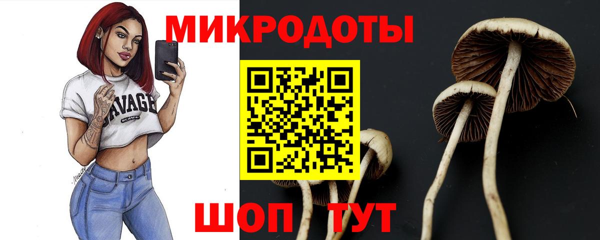 Псилоцибиновые грибы прущие грибы Лениногорск